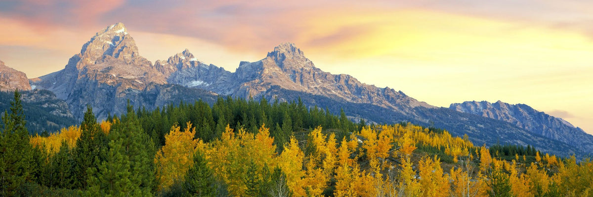 Golden Mountain Majesty Mural Wallpaper - pure wallpaper artwork