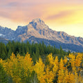 Golden Mountain Majesty Mural Wallpaper - pure wallpaper artwork