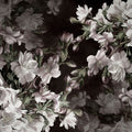 Apple Blossoms Mural Wallpaper - pure wallpaper artwork