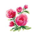 Spring Is Blooming II Mural Wallpaper - pure wallpaper artwork