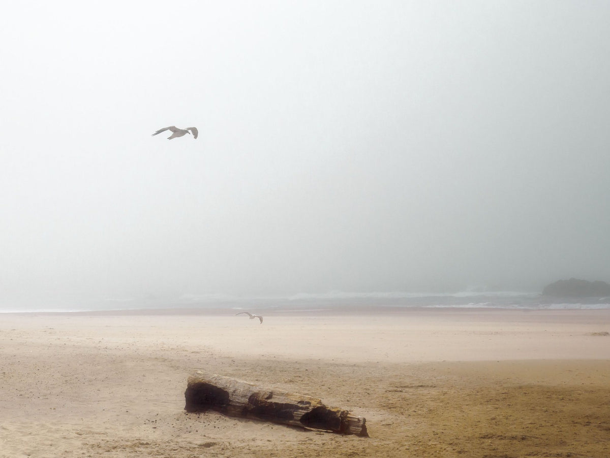 Cold Beach Mural Wallpaper - pure wallpaper artwork