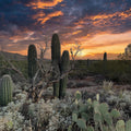 Sunset Moonrise Mural Wallpaper - pure wallpaper artwork
