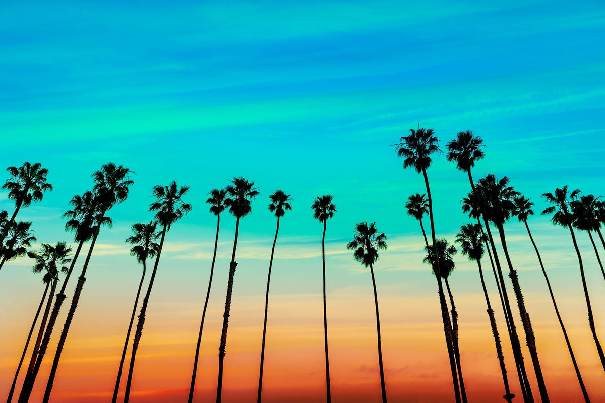 Santa Barbara Sunset II Mural Wallpaper - pure wallpaper artwork