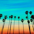 Santa Barbara Sunset II Mural Wallpaper - pure wallpaper artwork