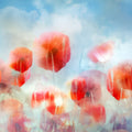 Poppies in a Field Mural Wallpaper - pure wallpaper artwork