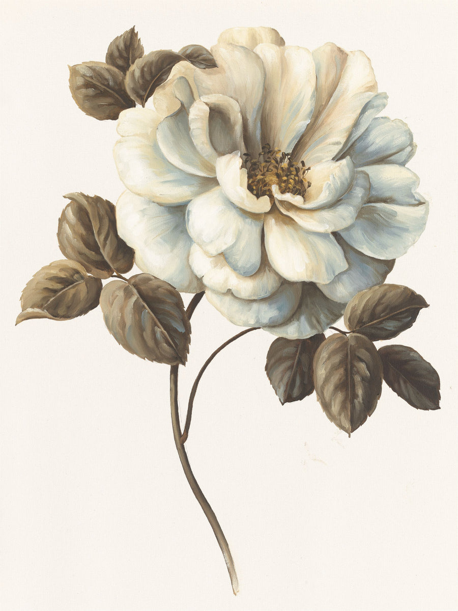 Floral Bliss Rose I Mural Wallpaper