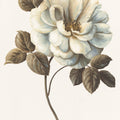 Floral Bliss Rose I Mural Wallpaper - pure wallpaper artwork