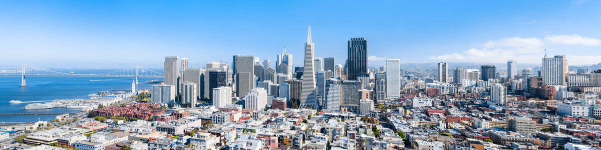 San Francisco Skyline Mural Wallpaper - pure wallpaper artwork