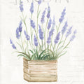 Lavender Fields VII Mural Wallpaper - pure wallpaper artwork