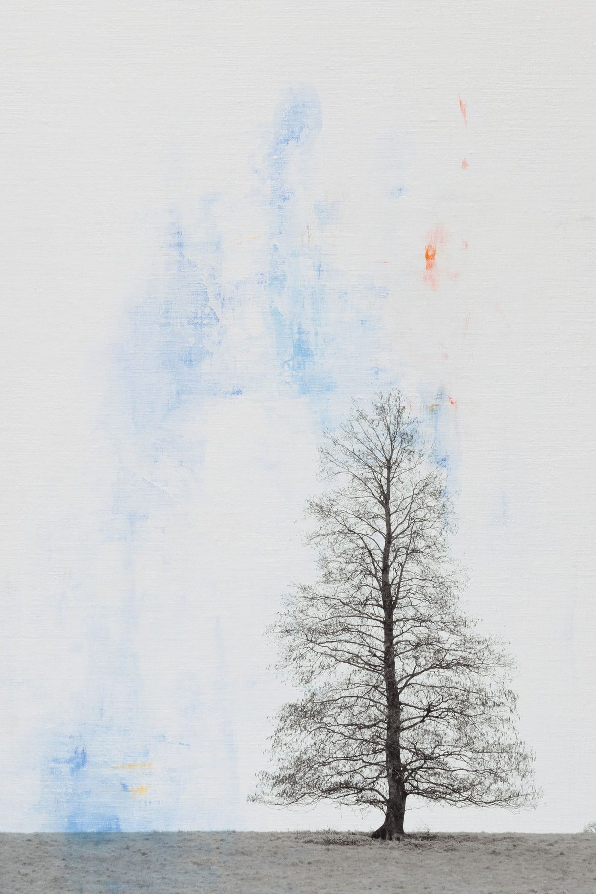 Lone Tree Mural Wallpaper - pure wallpaper artwork