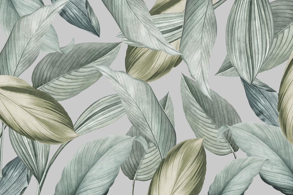 Translucent Foliage Mural Wallpaper - pure wallpaper artwork