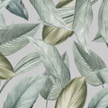 Translucent Foliage Mural Wallpaper - pure wallpaper artwork