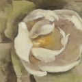 White Blossom Mural Wallpaper - pure wallpaper artwork