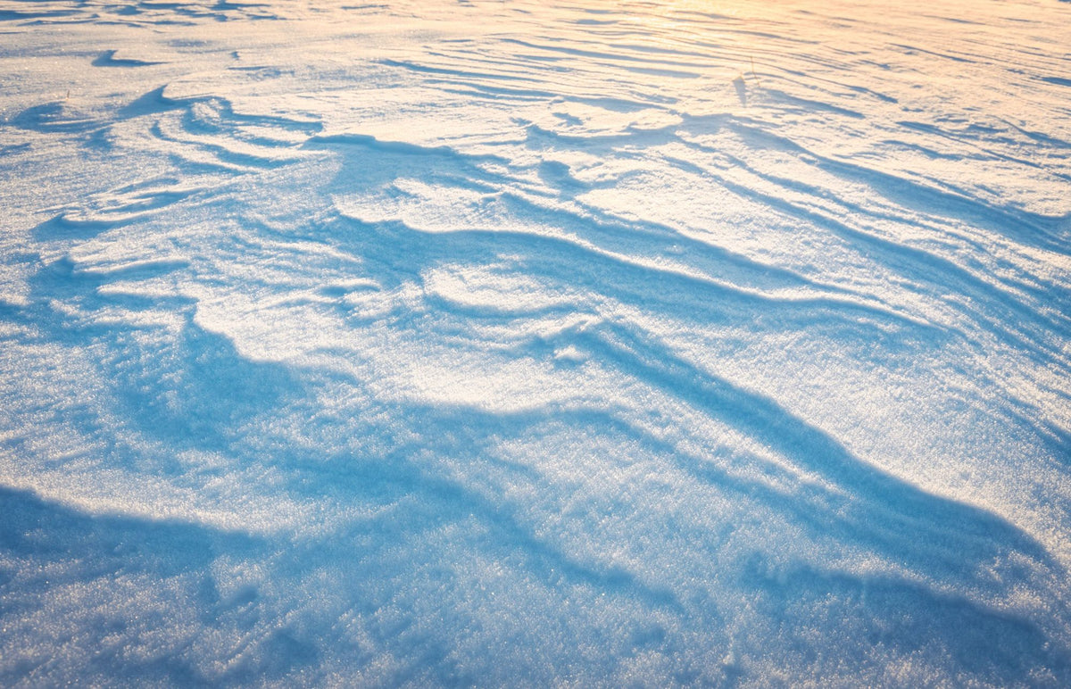Sunlit Snow Drift Mural Wallpaper - pure wallpaper artwork