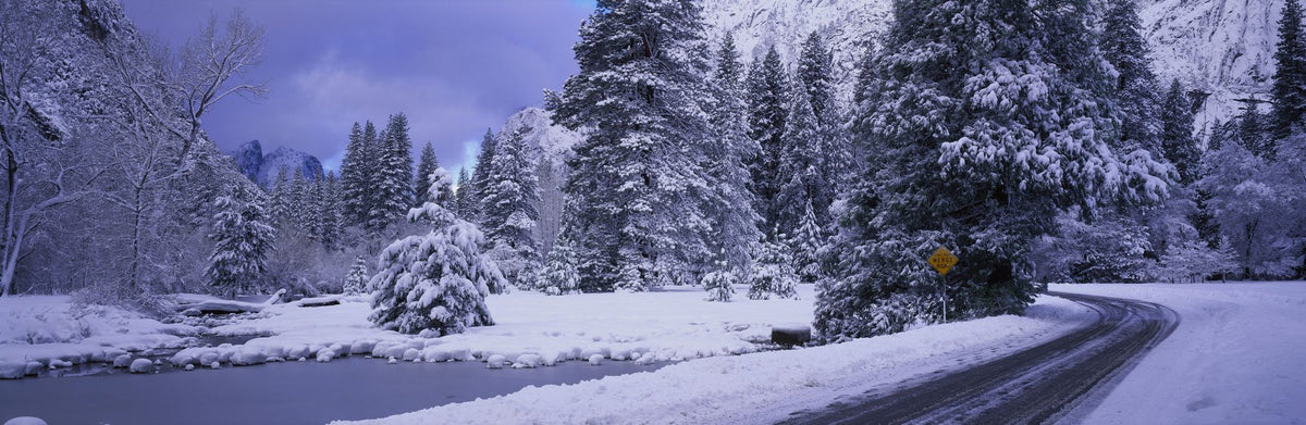 Winter Forest Junction Mural Wallpaper - pure wallpaper artwork