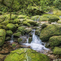 Moss Creek Mural Wallpaper - pure wallpaper artwork