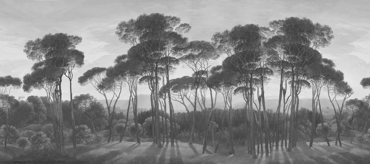 Mediterranean Pine Landscape, Gray Mural Wallpaper - pure wallpaper artwork