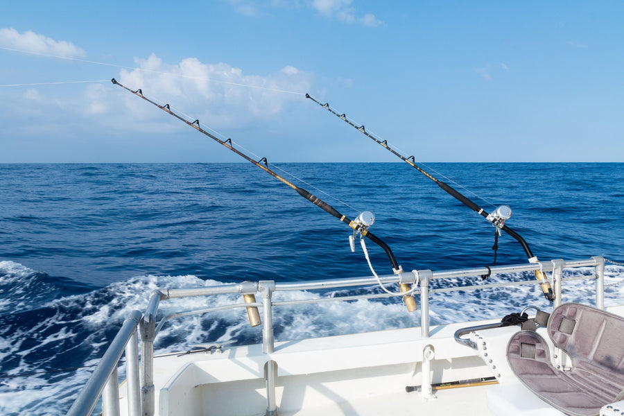 Deep Sea Fishing Mural Wallpaper