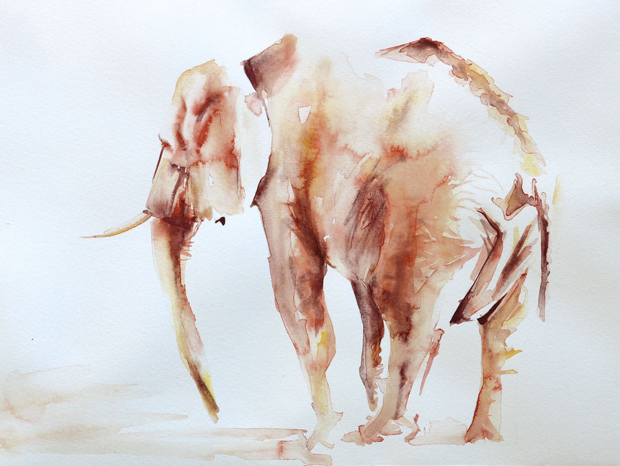 Lone Elephant Mural Wallpaper