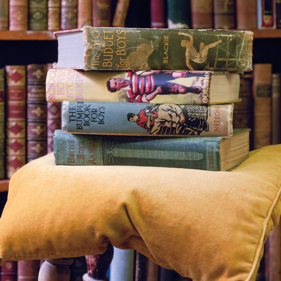 Books For Boys Mural Wallpaper
