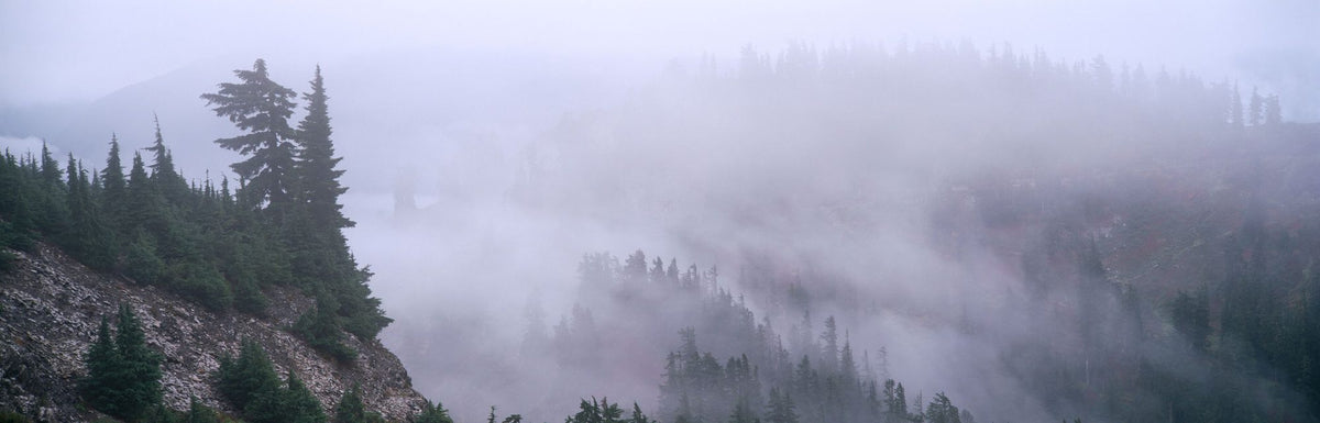 Fog Cascade Mural Wallpaper - pure wallpaper artwork