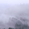 Fog Cascade Mural Wallpaper - pure wallpaper artwork