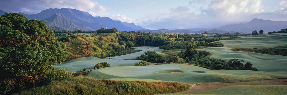 Kauai Island Golf Mural Wallpaper - pure wallpaper artwork