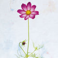 Wonderful Wildflowers XVI Mural Wallpaper - pure wallpaper artwork