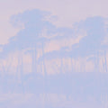 Mediterranean Pine Landscape, Periwinkle Mural Wallpaper - pure wallpaper artwork