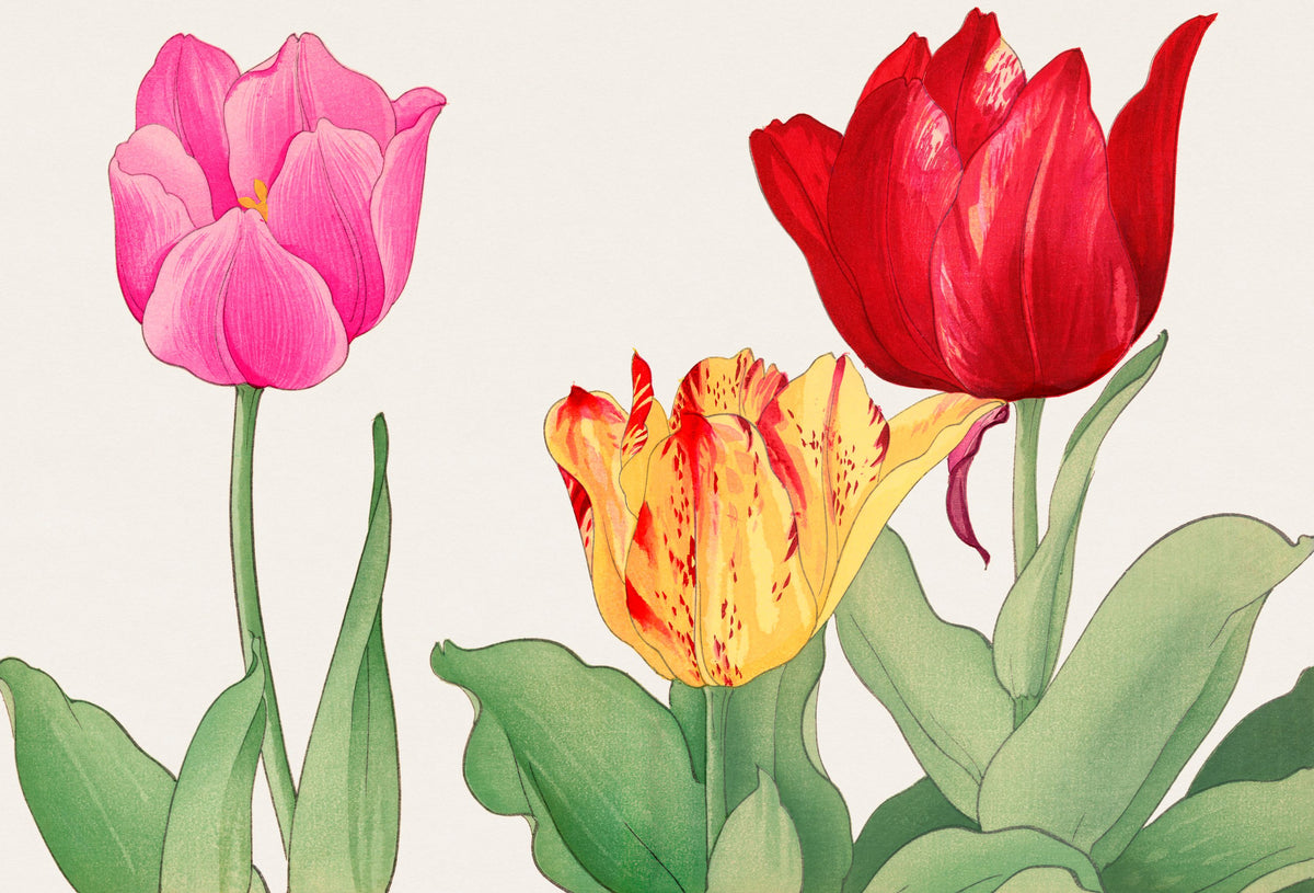 Tanigami Tulips Mural Wallpaper - pure wallpaper artwork