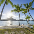 Mount Otemanu Sunset Mural Wallpaper - pure wallpaper artwork