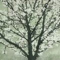Kyoto Tree Mural Wallpaper - pure wallpaper artwork