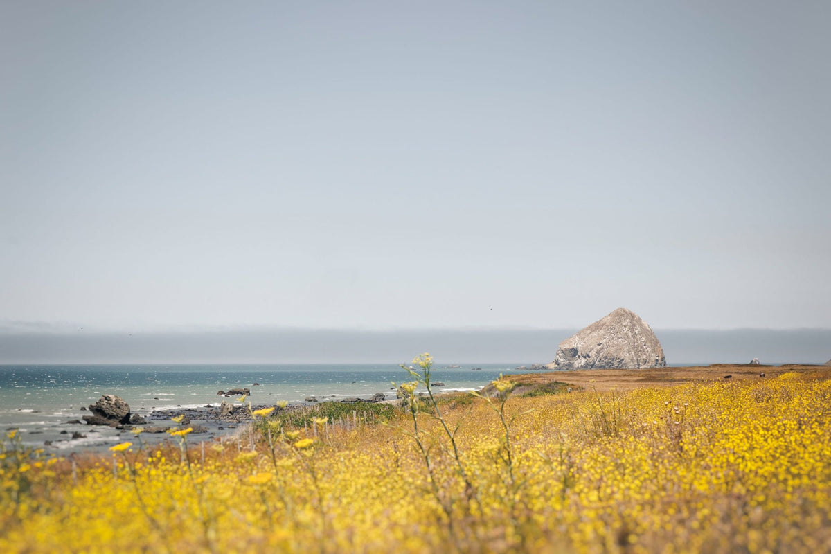 Rocky Coast Days Mural Wallpaper - pure wallpaper artwork