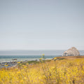 Rocky Coast Days Mural Wallpaper - pure wallpaper artwork