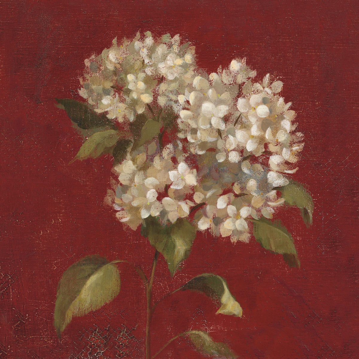 Hydrangea Blooms Mural Wallpaper - pure wallpaper artwork