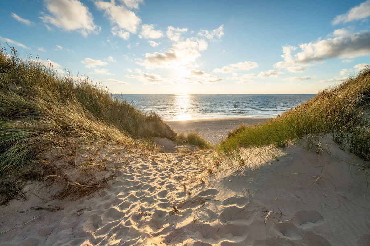 Coastal Escape Mural Wallpaper - pure wallpaper artwork
