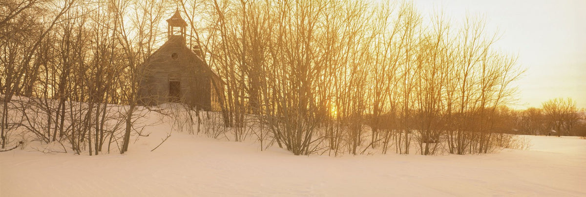 Winter Sanctuary Mural Wallpaper - pure wallpaper artwork