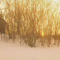 Winter Sanctuary Mural Wallpaper - pure wallpaper artwork