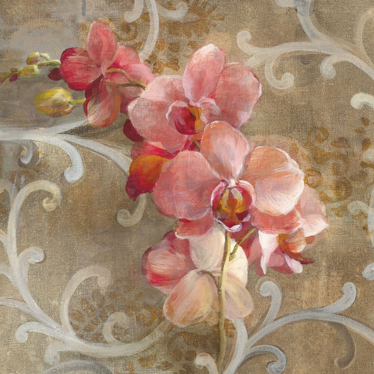 Pink Orchid Mural Wallpaper - pure wallpaper artwork
