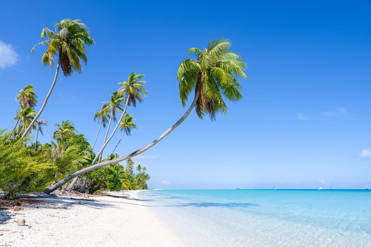 Hirifa Beach Mural Wallpaper - pure wallpaper artwork
