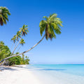Hirifa Beach Mural Wallpaper - pure wallpaper artwork