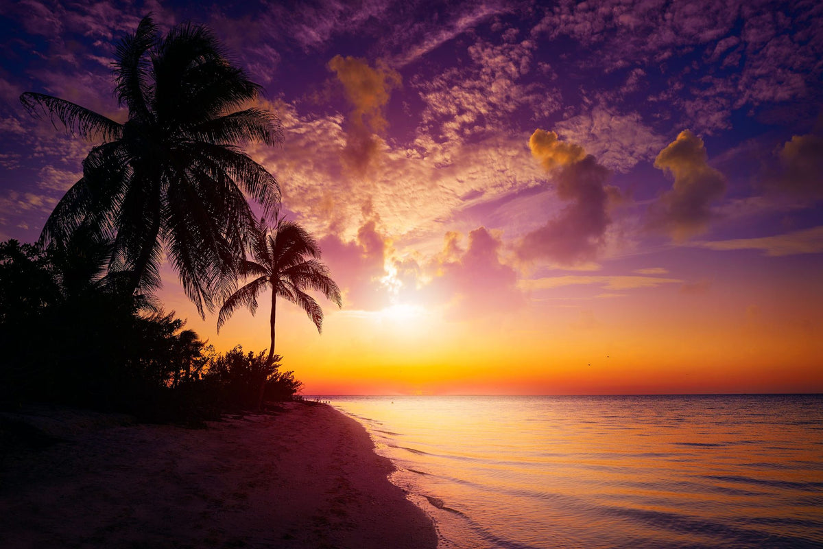 Tropical Twilight Silhouette Mural Wallpaper - pure wallpaper artwork