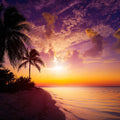 Tropical Twilight Silhouette Mural Wallpaper - pure wallpaper artwork