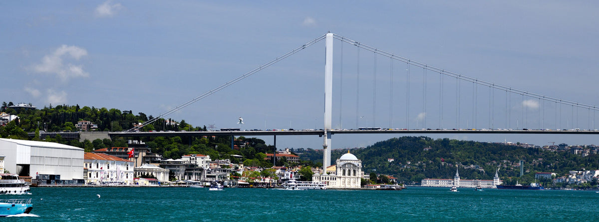 Harbor Bridge Majesty Mural Wallpaper - pure wallpaper artwork
