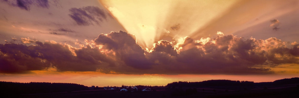 Sunset Symphony Mural Wallpaper - pure wallpaper artwork