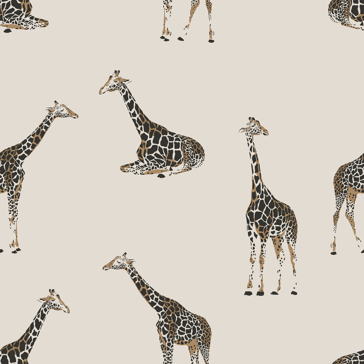 Giraffes At Gogo Falls Mural Wallpaper - pure wallpaper artwork