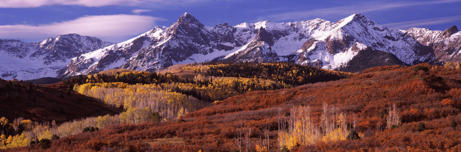 Misty Autumn Peaks Field Mural Wallpaper