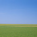 Serene Meadow Vista Mural Wallpaper - pure wallpaper artwork