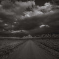 Road to Me BW Mural Wallpaper - pure wallpaper artwork