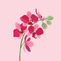 In the Jungle V Mural Wallpaper - pure wallpaper artwork